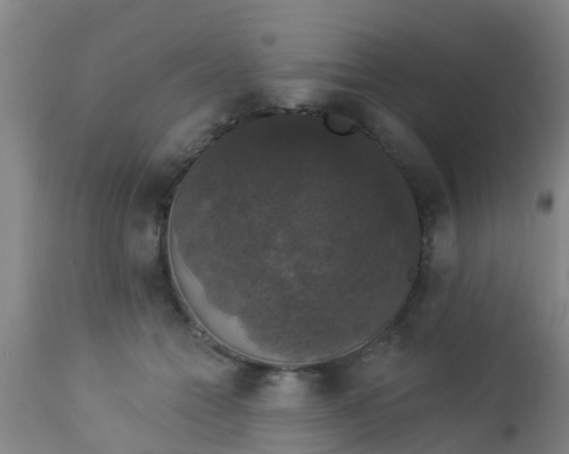 X0000112910558200909071537