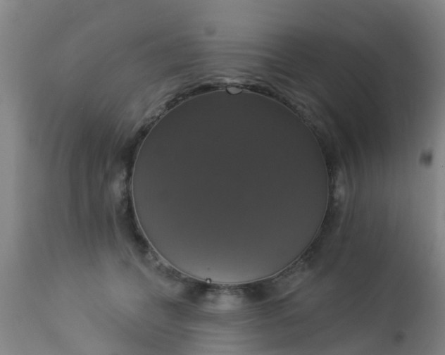 X0000112910559200909071537