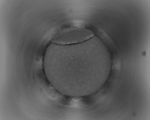 X0000112910560200909071537