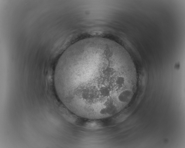 X0000112910561200909071537