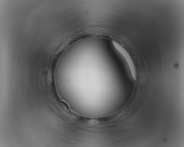 X0000112910562200909071537