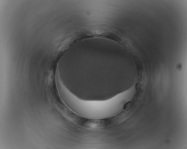 X0000112910563200909071537