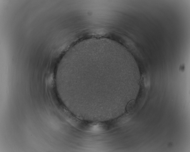 X0000112910564200909071537