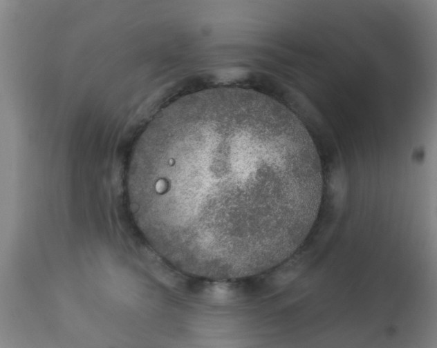 X0000112910565200909071537