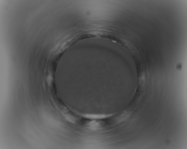 X0000112910566200909071537