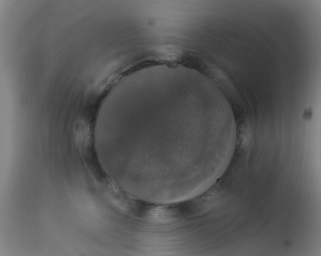 X0000112910568200909071537