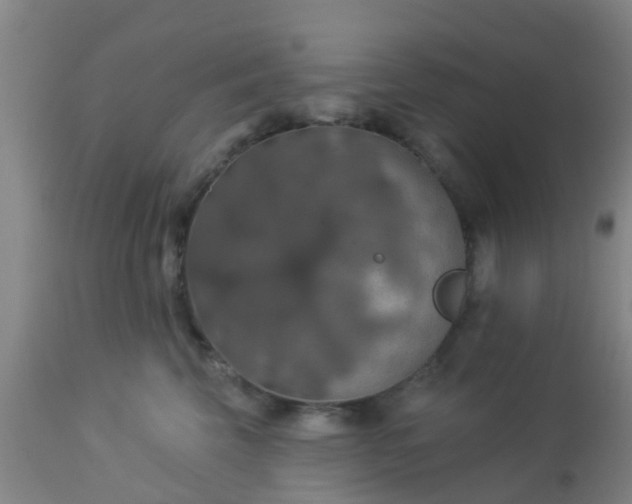 X0000112910569200909071537