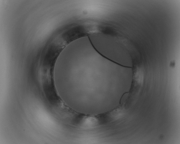 X0000112910572200909071537