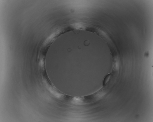 X0000112910573200909071537