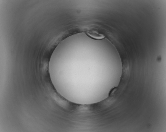 X0000112910574200909071537