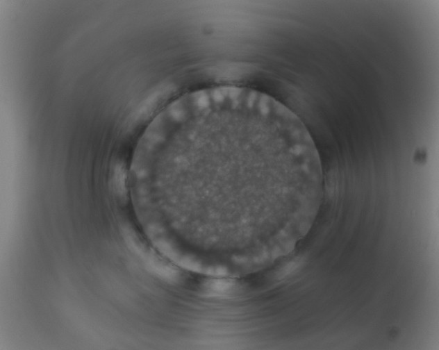 X0000112910575200909071537