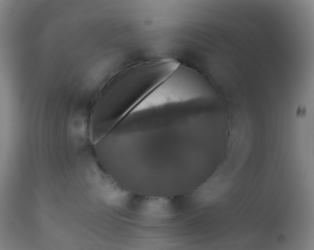 X0000112910576200909071537