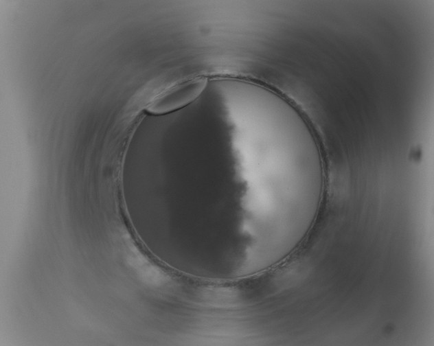 X0000112910577200909071537