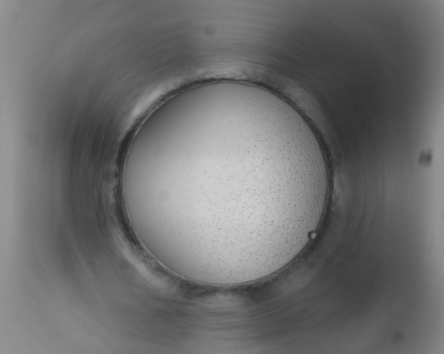 X0000112910578200909071537