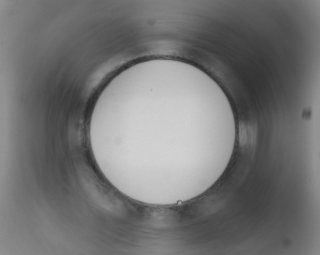 X0000112910579200909071537