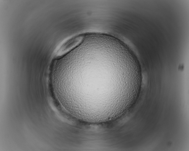 X0000112910580200909071537