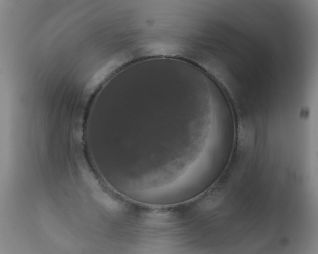 X0000112910581200909071537