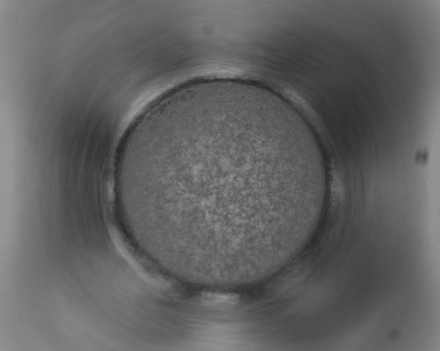 X0000112910582200909071537