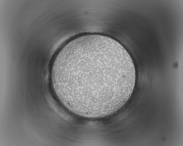 X0000112910584200909071537