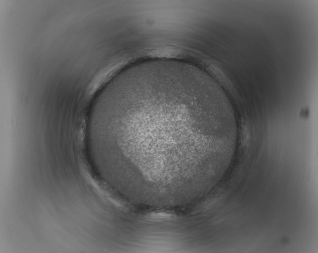 X0000112910586200909071537