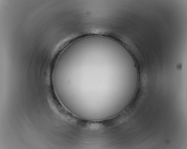 X0000112910587200909071536