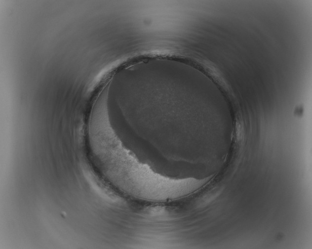 X0000112910588200909071536