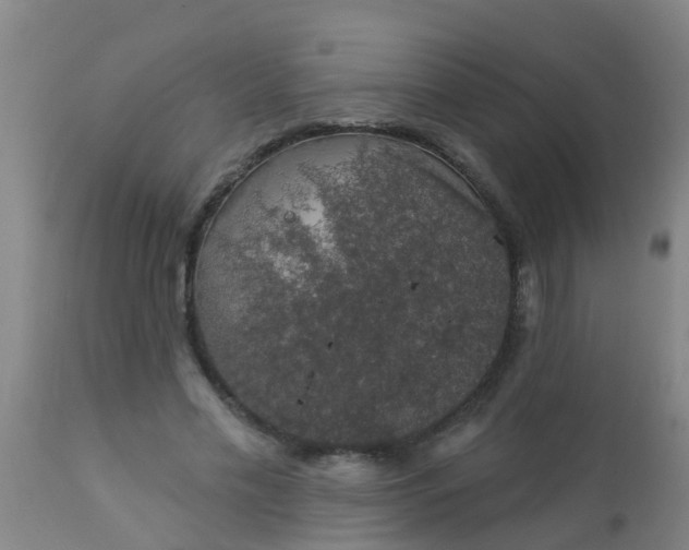 X0000112910589200909071536