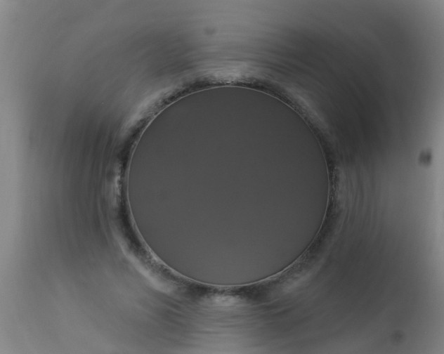 X0000112910590200909071536