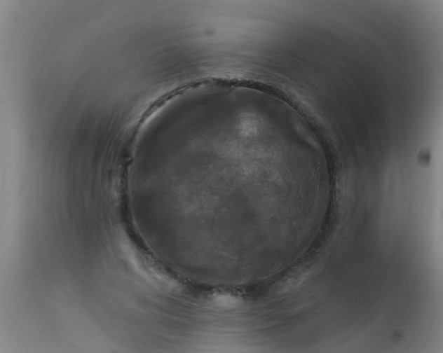 X0000112910592200909071536