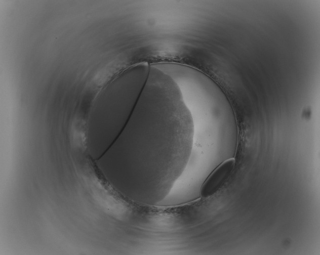 X0000112910593200909071536