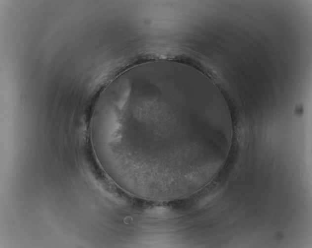 X0000112910594200909071536