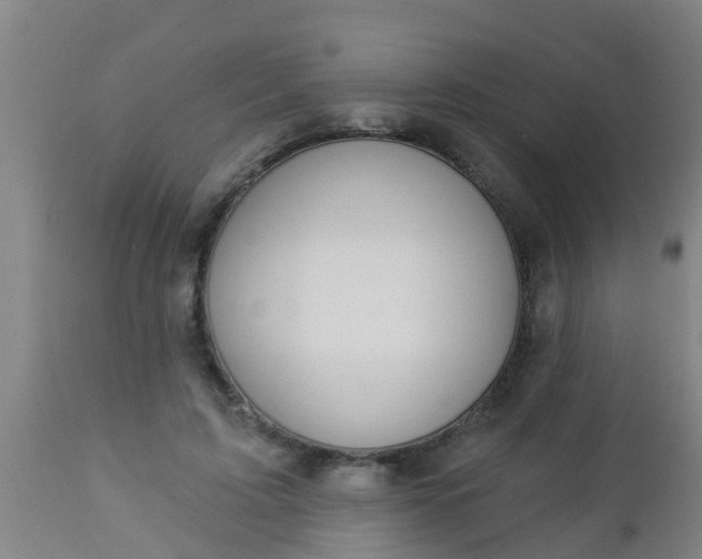 X0000112910595200909071536