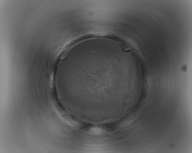 X0000112910596200909071536