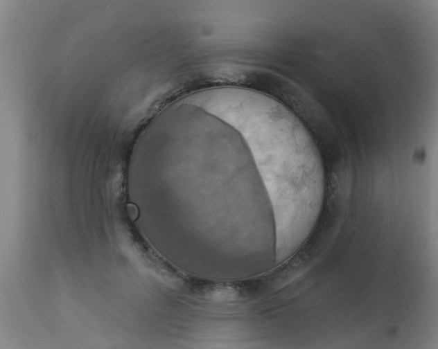 X0000112910600200909071536