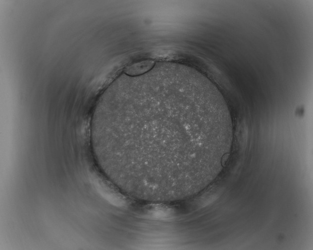 X0000112910601200909071536