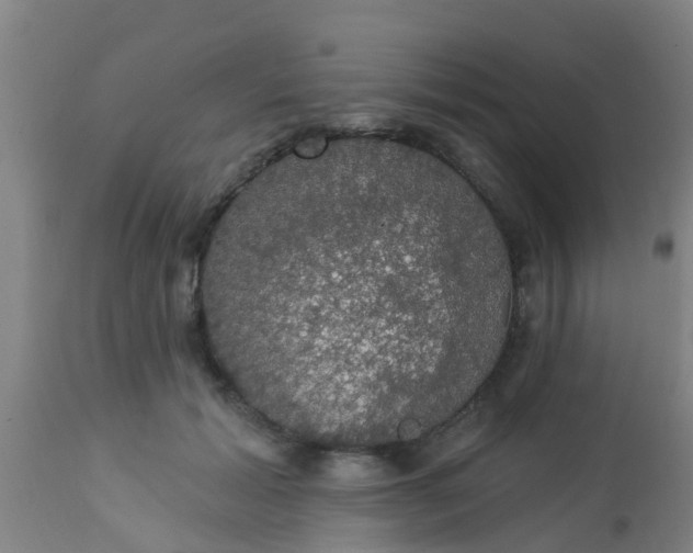 X0000112910605200909071536