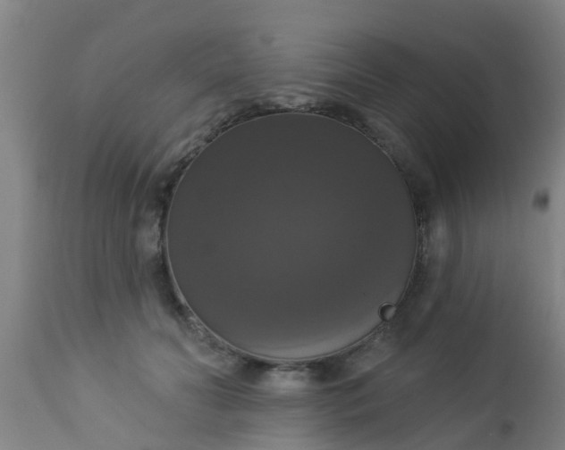 X0000112910606200909071536