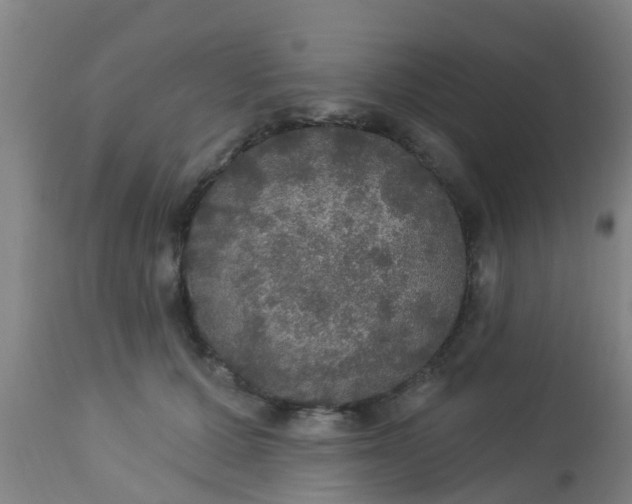 X0000112910607200909071536