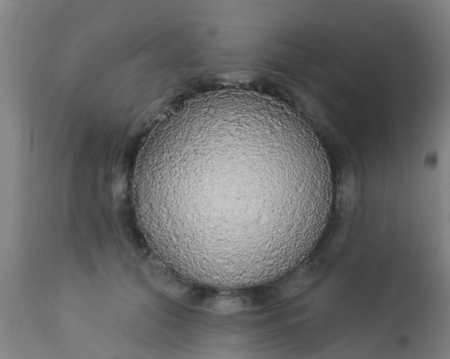 X0000112910608200909071536