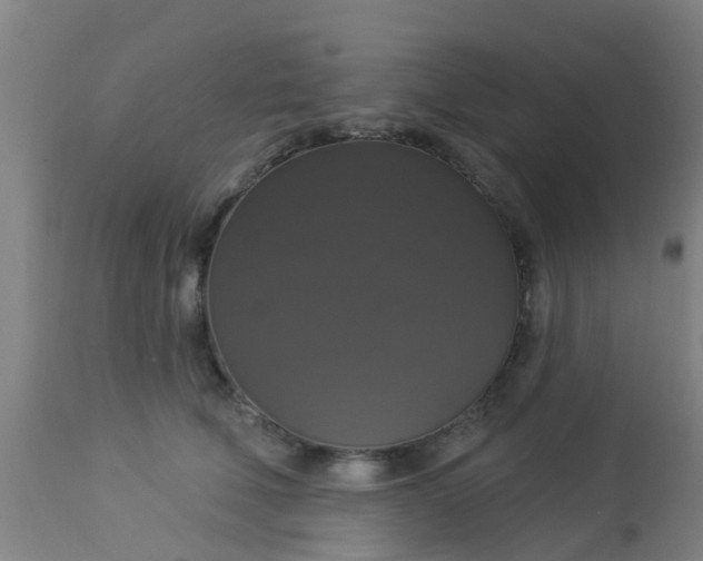 X0000112910610200909071536