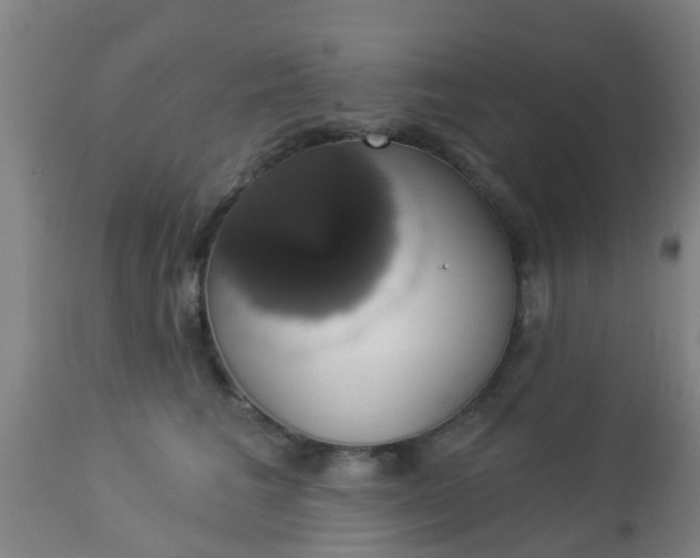 X0000112910613200909071536