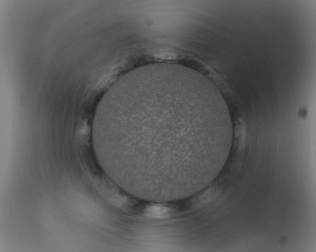 X0000112910614200909071536