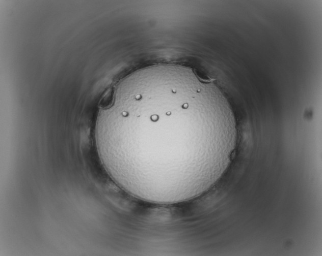 X0000112910615200909071536