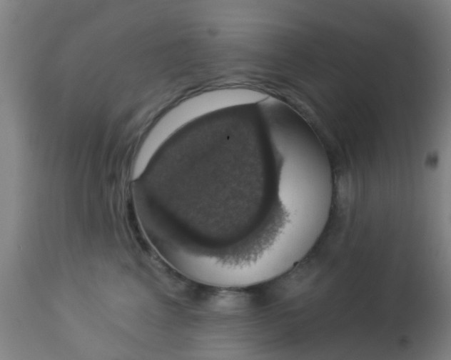 X0000112910617200909071536