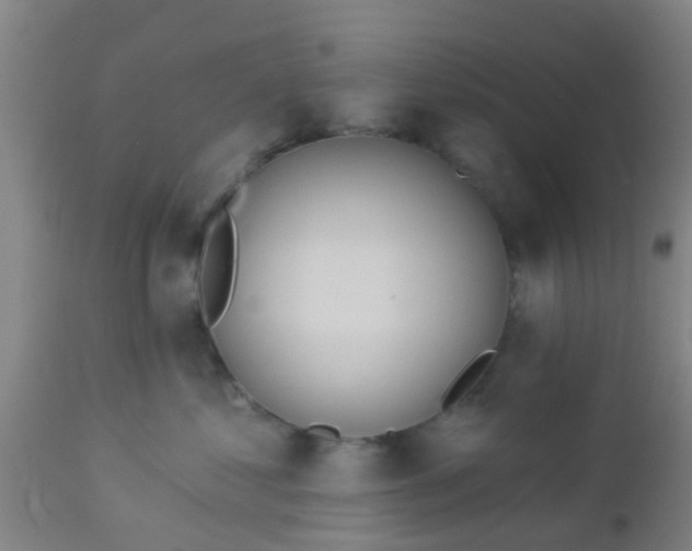 X0000112910621200909071536