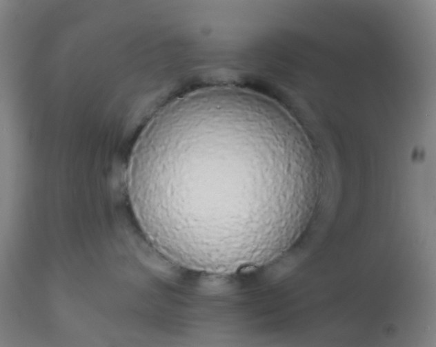 X0000112910624200909071536