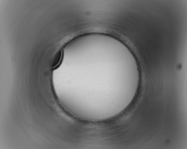 X0000112910625200909071535