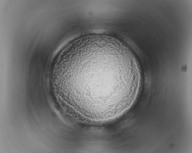 X0000112910626200909071535