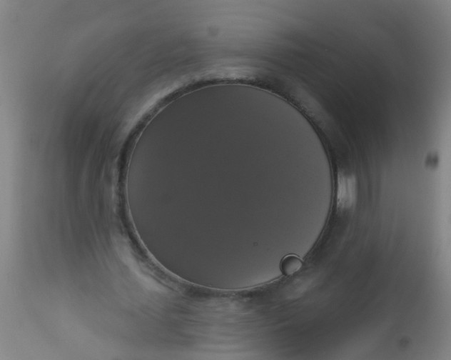 X0000112910627200909071535