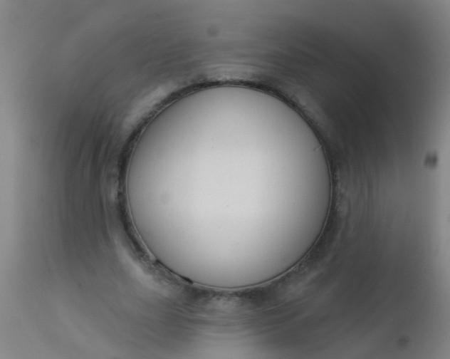 X0000112910631200909071535